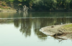 Что такое кракен маркет торкнет