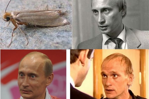 Блэкспрут даркнет что это