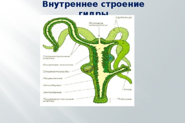 Как восстановить пароль на кракене