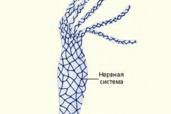 Kraken официальный сайт вход
